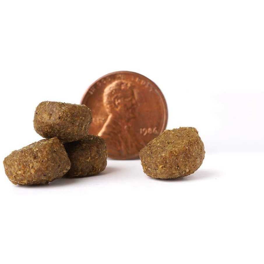 Victor Select Ocean Fish Formula Dry Dog Food - Nail Gallerys