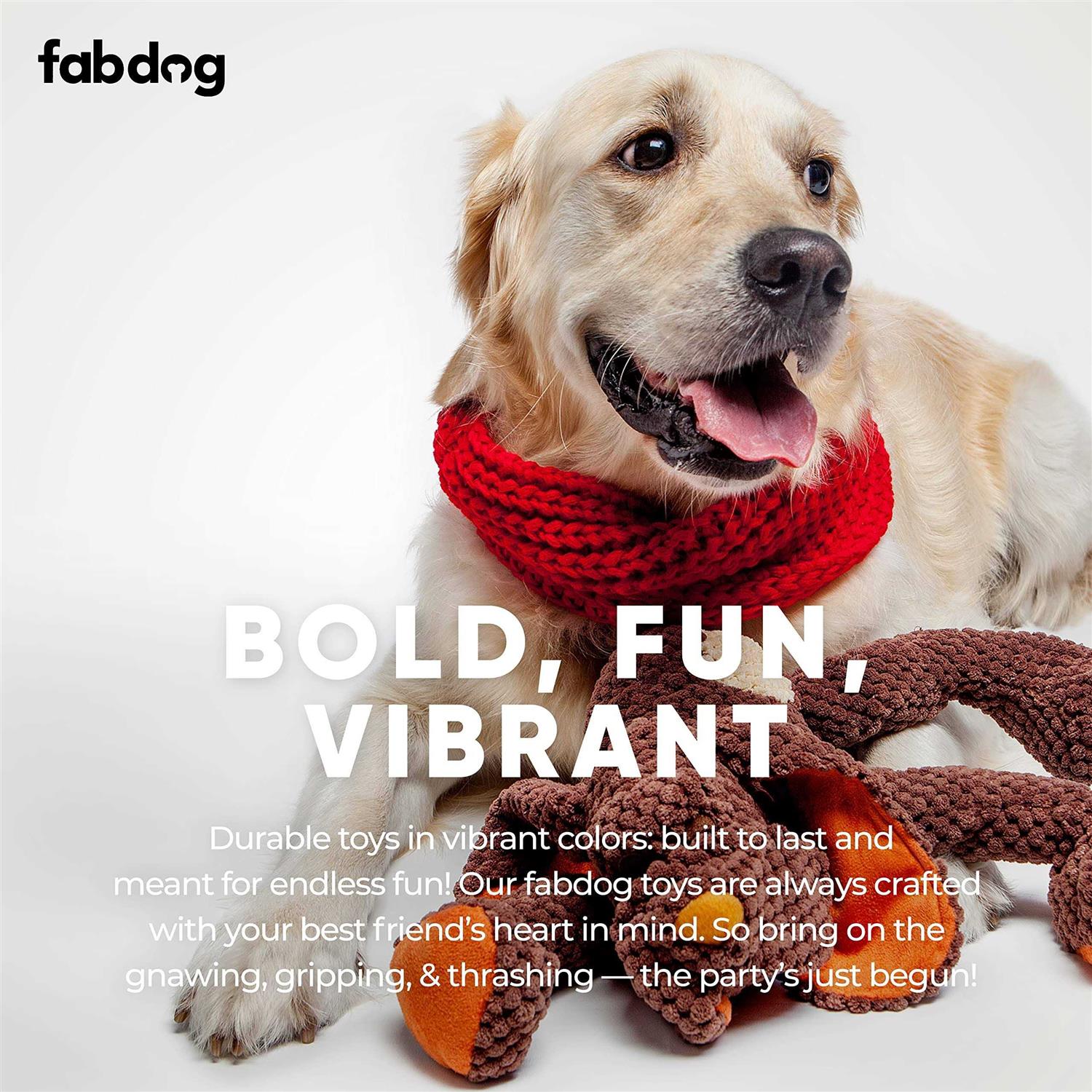 Fabdog Dog Floppy Toy - Nail Gallerys