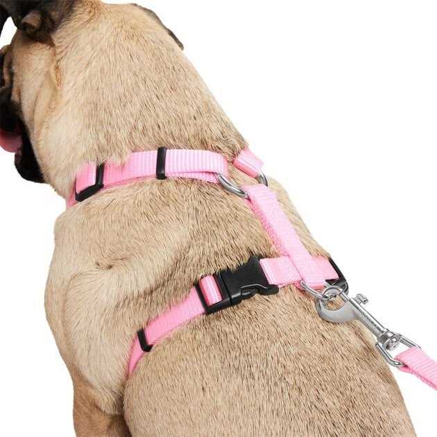Frisco Padded Nylon No Pull Dog Harness - Nail Gallerys