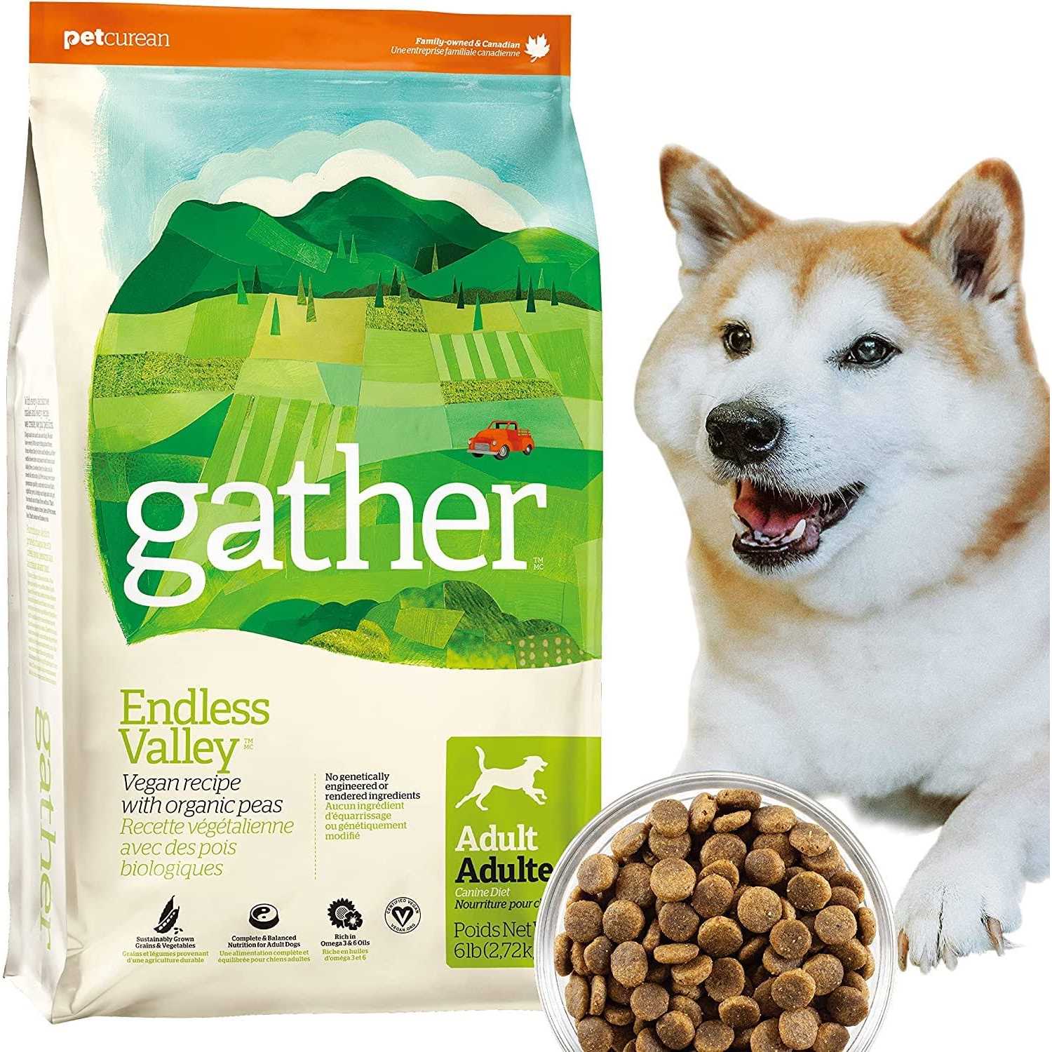 Gather Endless Valley Vegan Recipe with Organic Peas Adult Dry Dog Food - Nail Gallerys