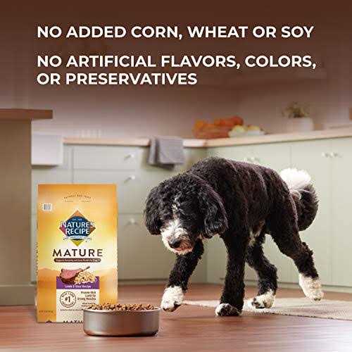 Nature’s Recipe Mature Dry Dog Food - Nail Gallerys