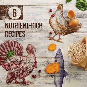 Purina Beyond Grain-Free Wet Cat Food - Nail Gallerys