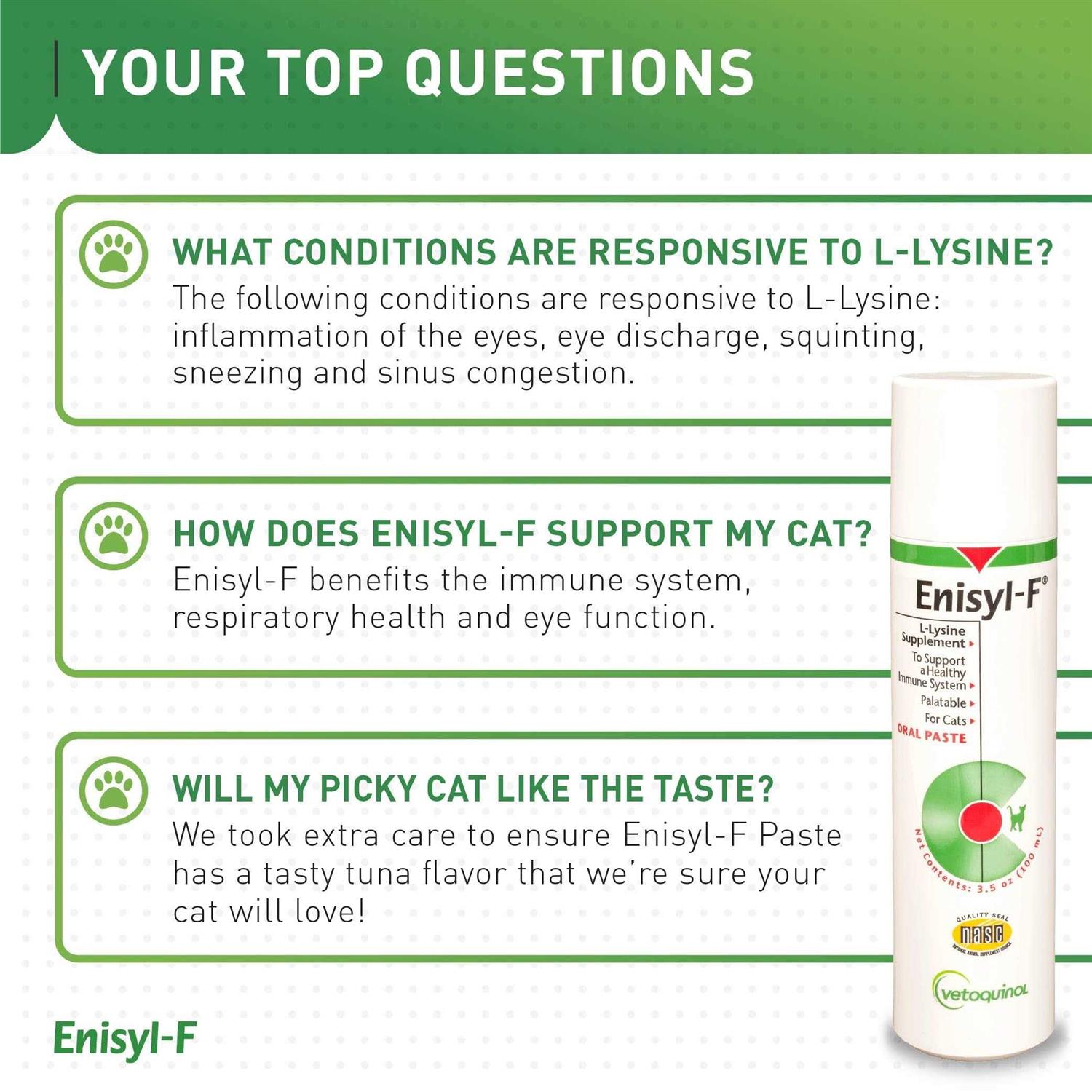 Enisyl F Oral Paste for Cats - Nail Gallerys