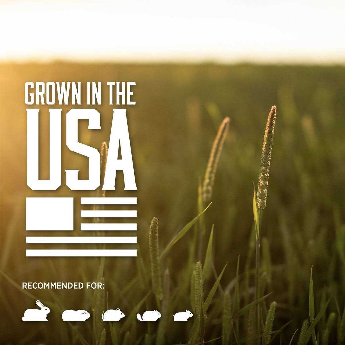 Standlee PremiYum Western Timothy Hay Small Animal Food - Nail Gallerys