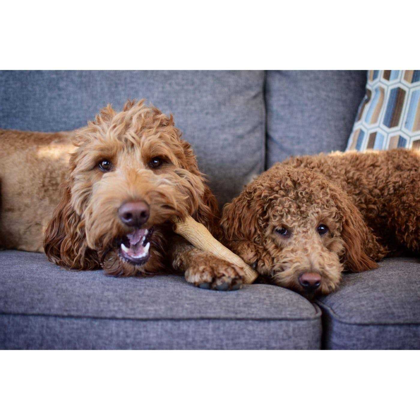 Rohto Hada Labo Shirojyun Reikan Bihaku Sherbet - Nail Gallerys