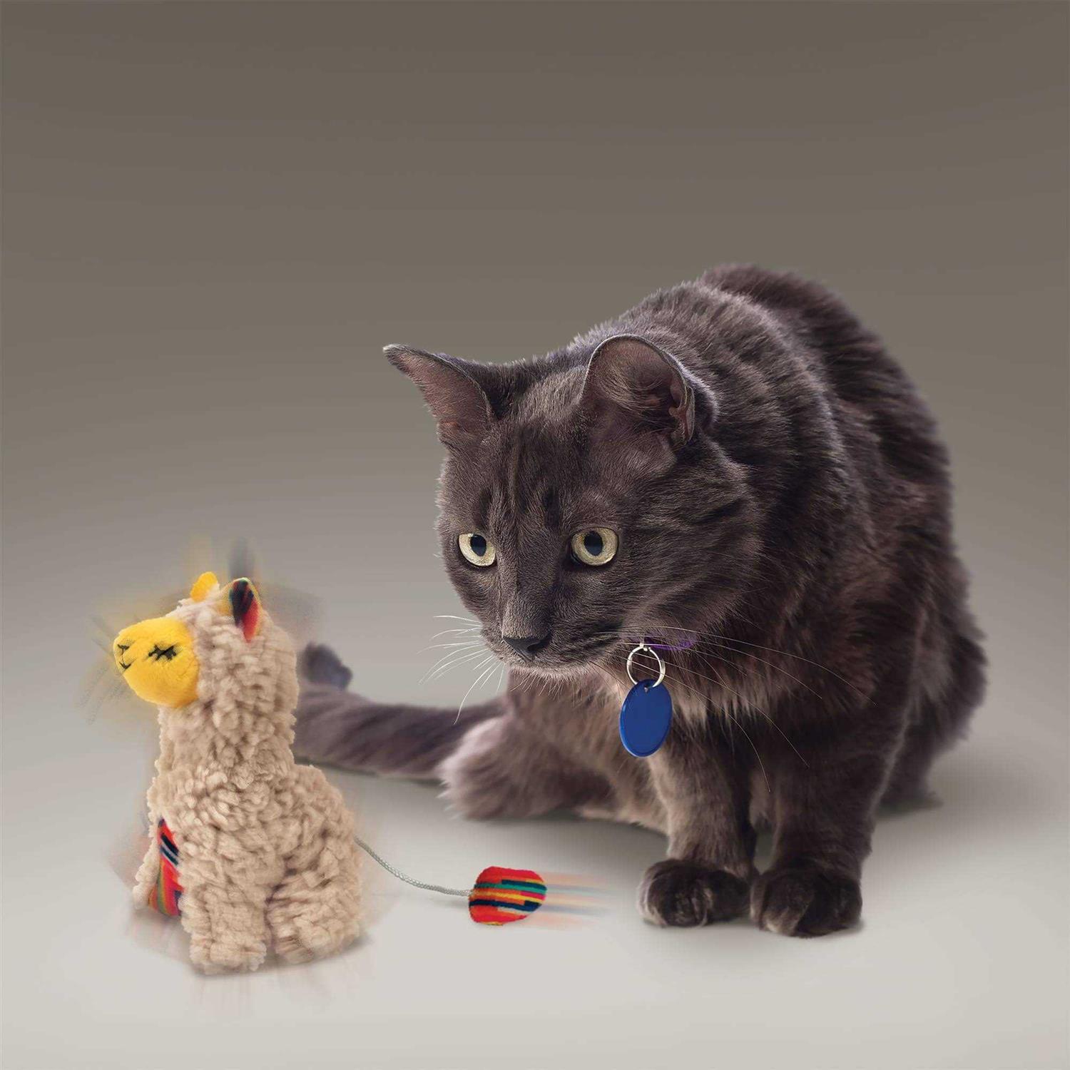 Kong Softies Buzzy Llama Cat Toy - Nail Gallerys