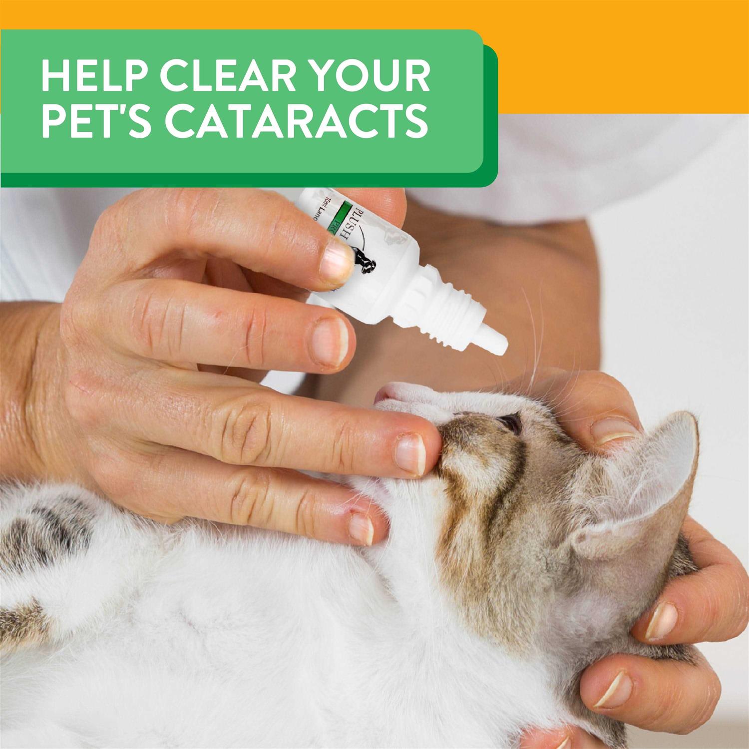 Plush Paws Advanced Lanosterol Solution + NAC - Nail Gallerys