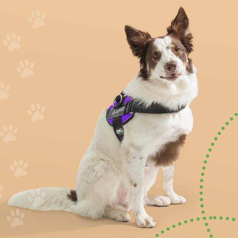 Joyride Harness No Pull Easy On-Off Dog Harness - Nail Gallerys