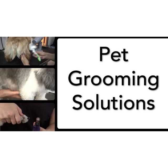 Andis ProClip AGC Pet Hair Clipper Kit - Nail Gallerys