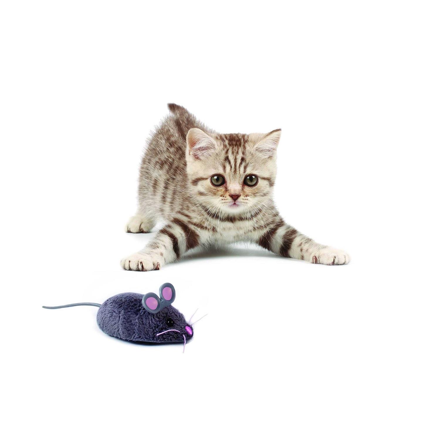 Hexbug Mouse Robotic Cat Toy - Nail Gallerys