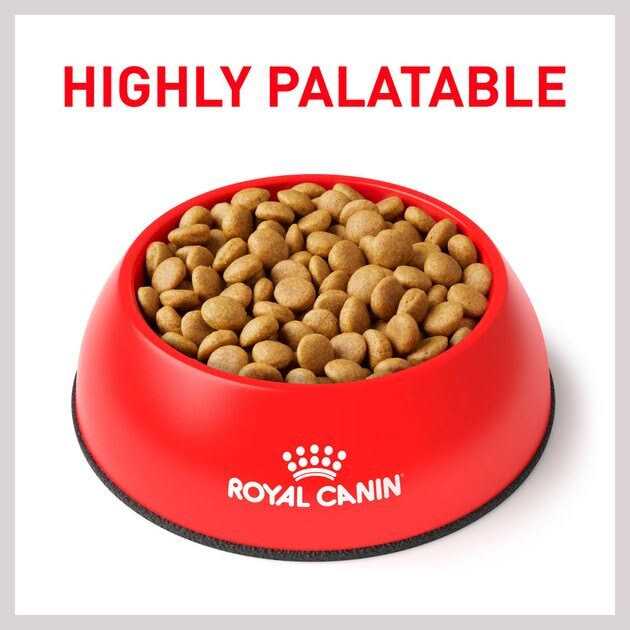 Royal Canin Veterinary Diet Canine Selected Protein Adult Dry Dog Food - Nail Gallerys