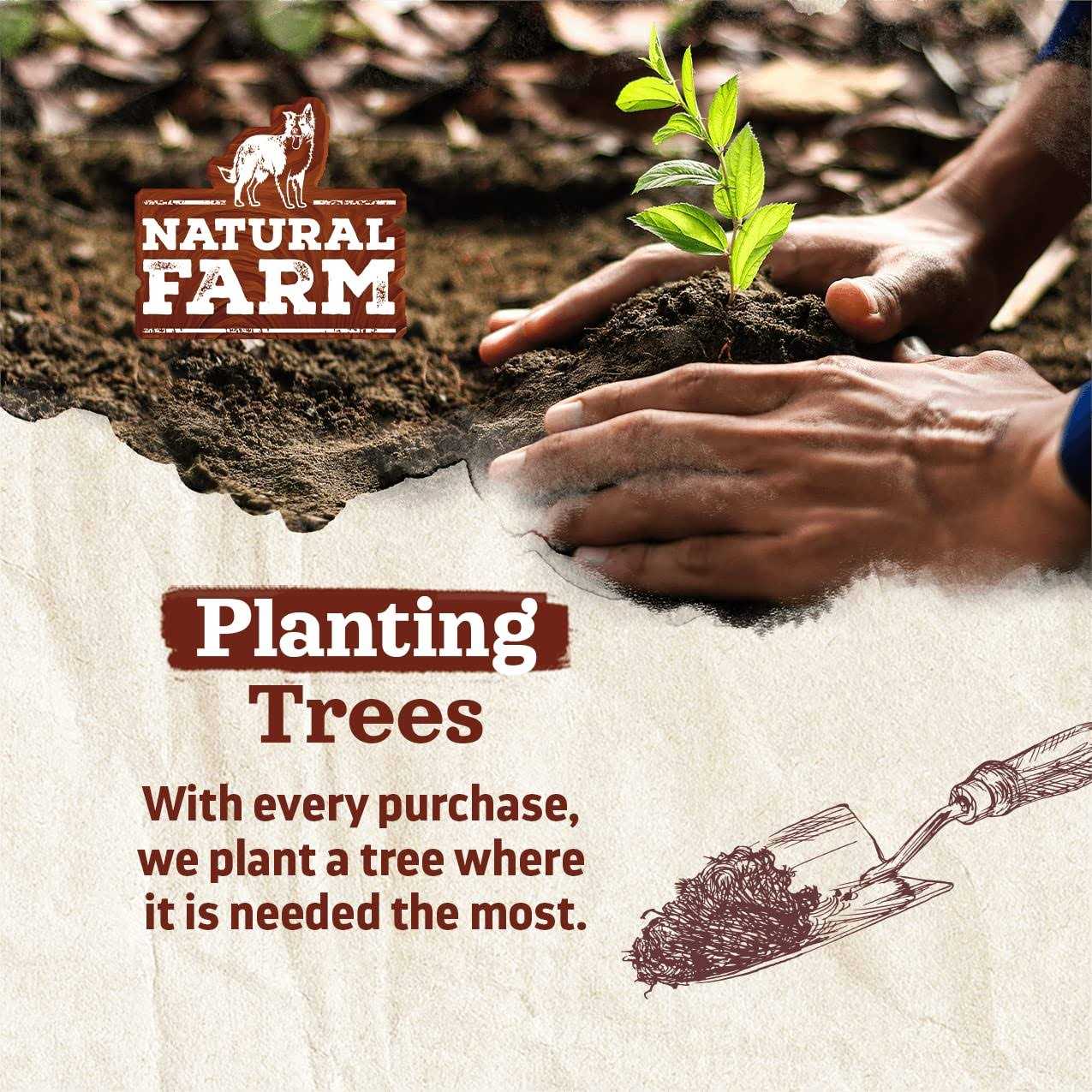 Natural Farm Power Bully Sticks Dog Treats - Nail Gallerys