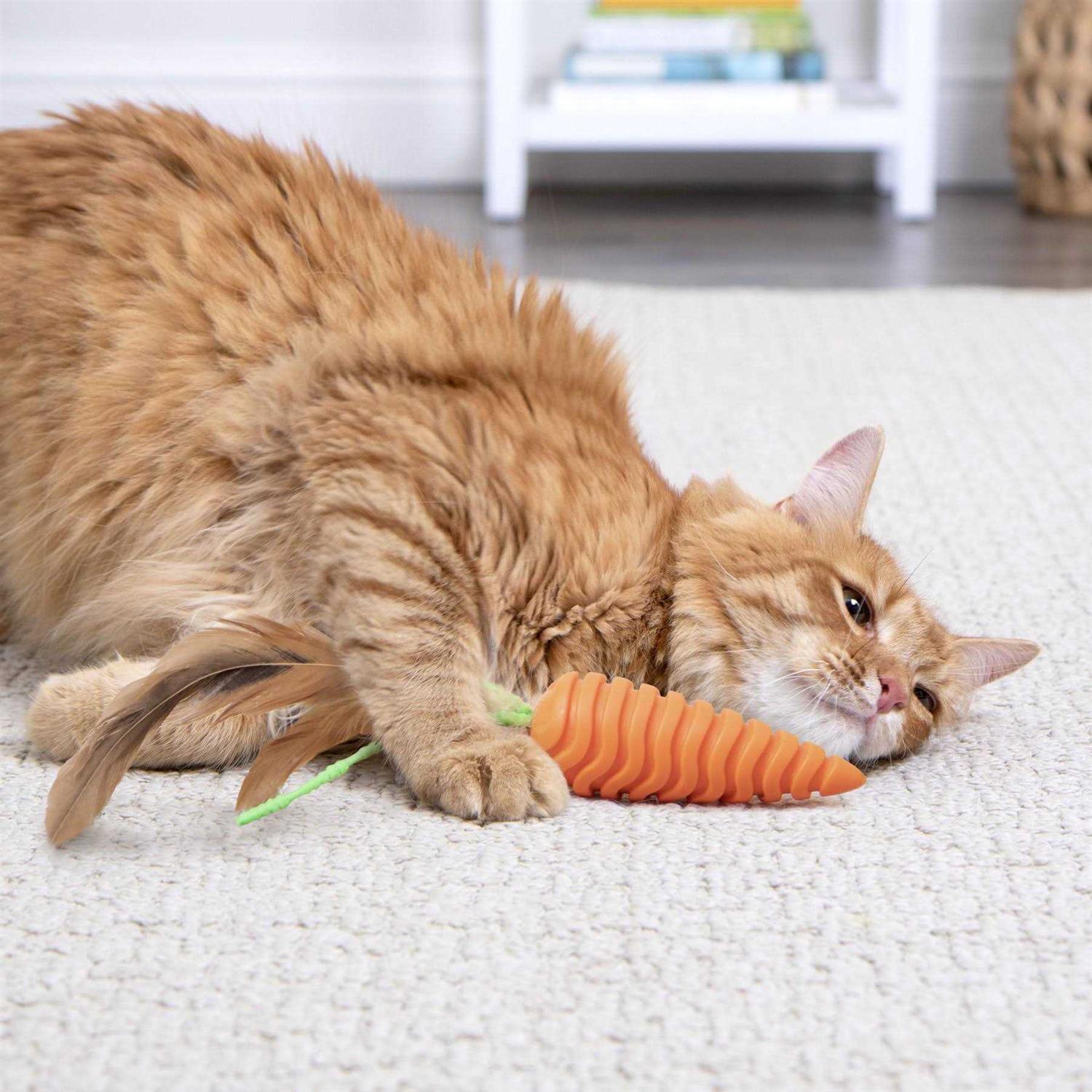 SmartyKat Clean Up Carrot Cat Grooming Toy - Nail Gallerys