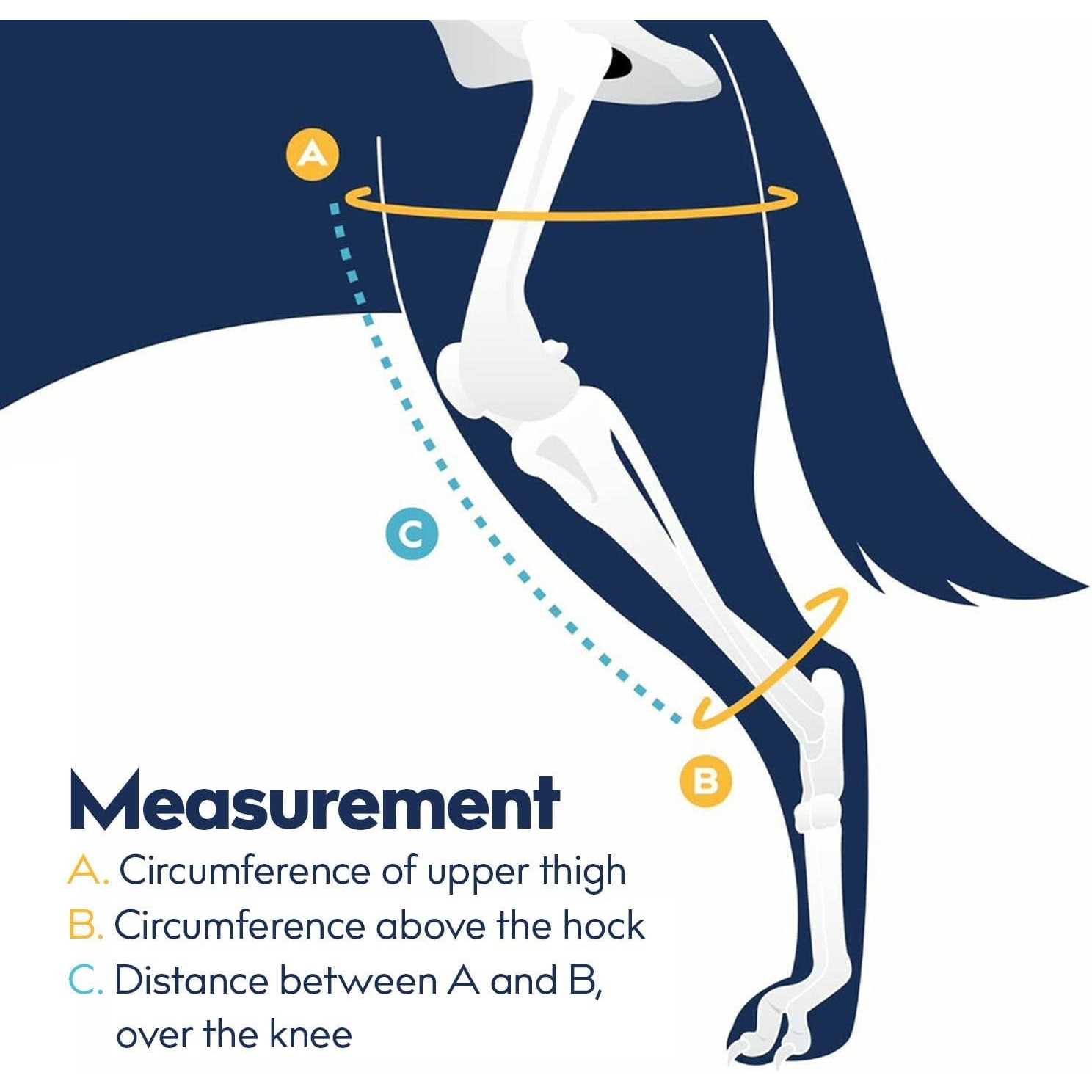 Balto Sport Agile CCL Brace Knee Support for Dogs Soft - Nail Gallerys