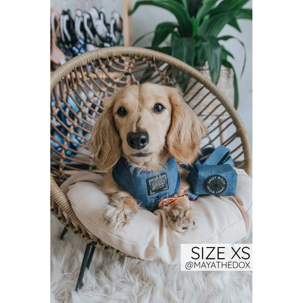 Adjustable Harness Sassy Woof - Nail Gallerys