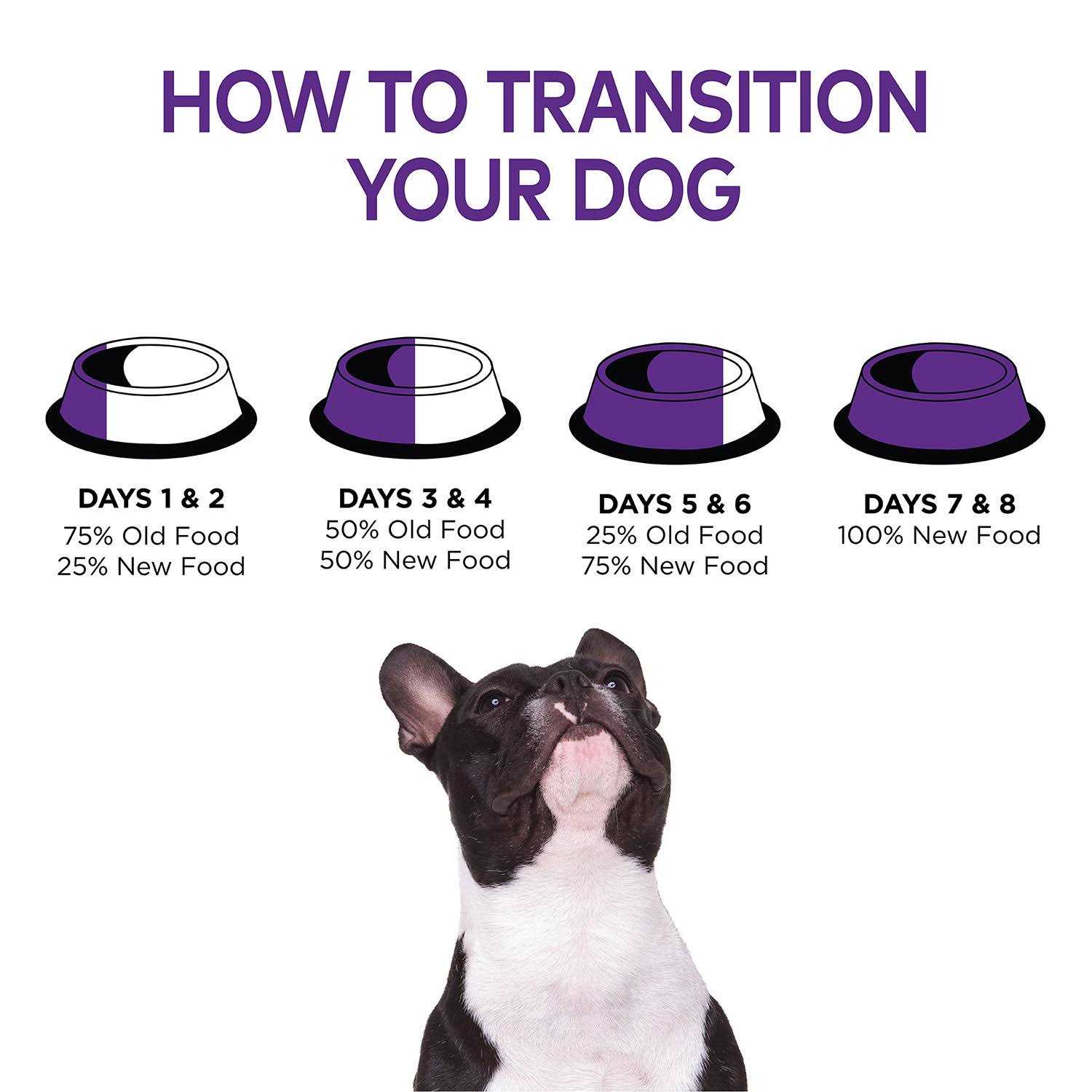 Wellness Complete Health Chicken Senior Dry Dog Food - Nail Gallerys