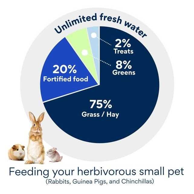 Dr. Pol Healthy Alfalfa 18% Extruded Rabbit Feed - Nail Gallerys