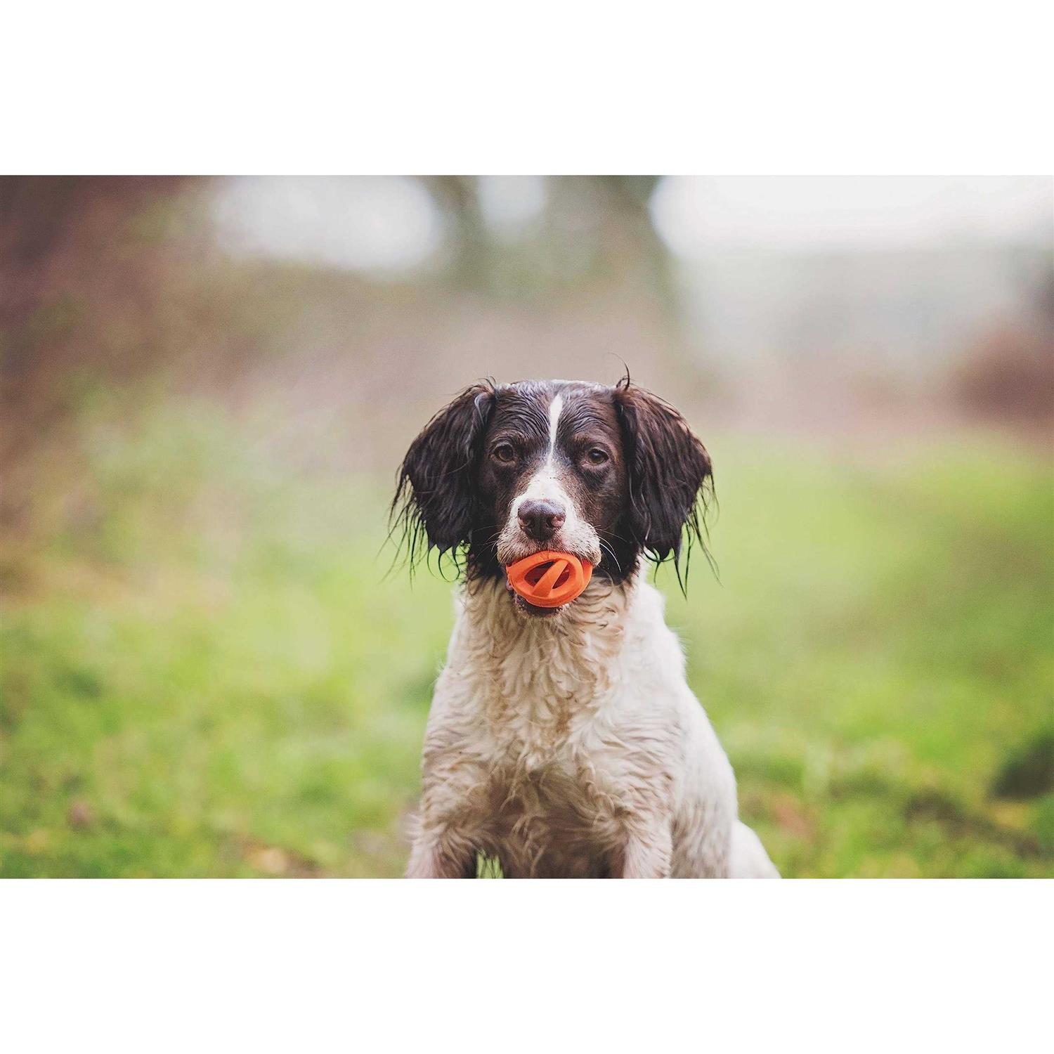 Chuckit! Breathe Right Fetch Ball - Nail Gallerys