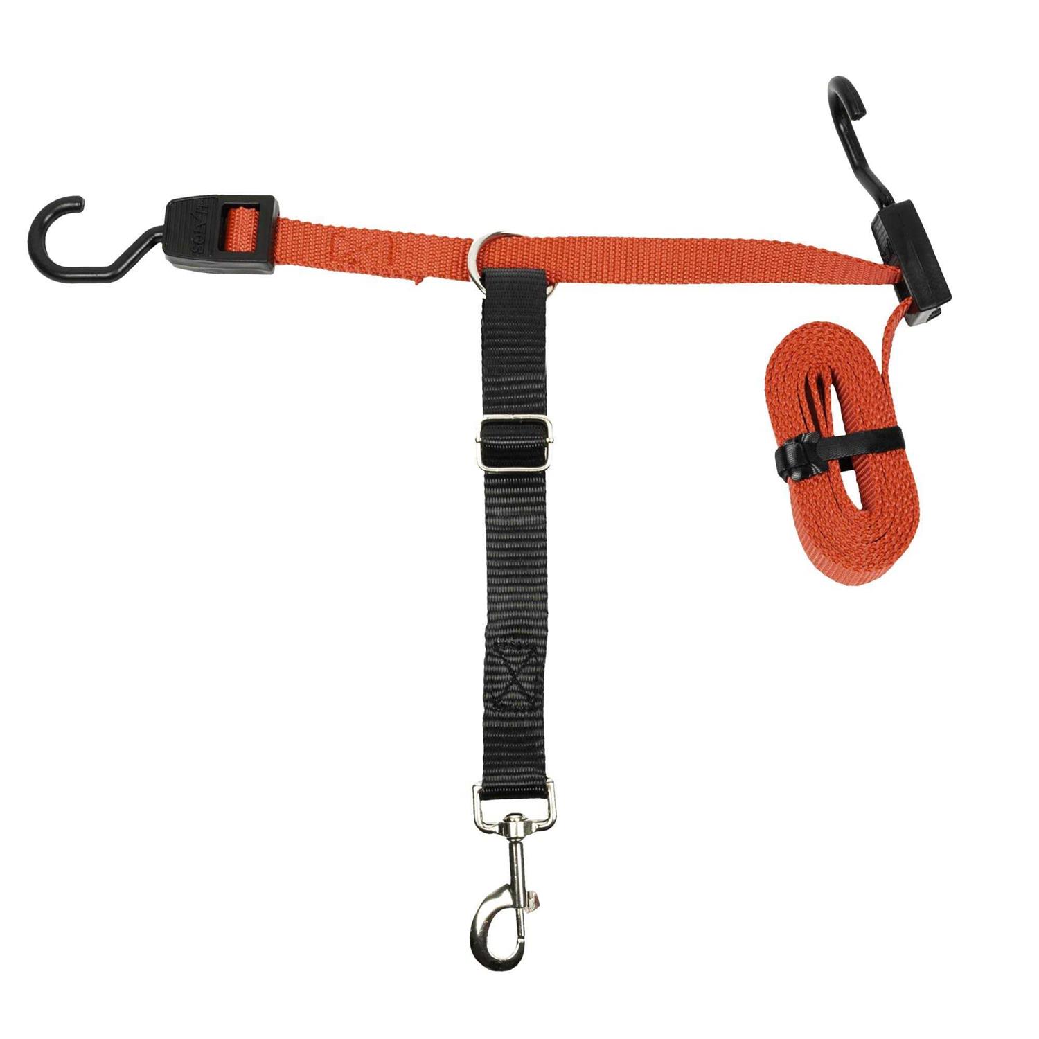 PetSafe Happy Ride Dog Zipline - Nail Gallerys