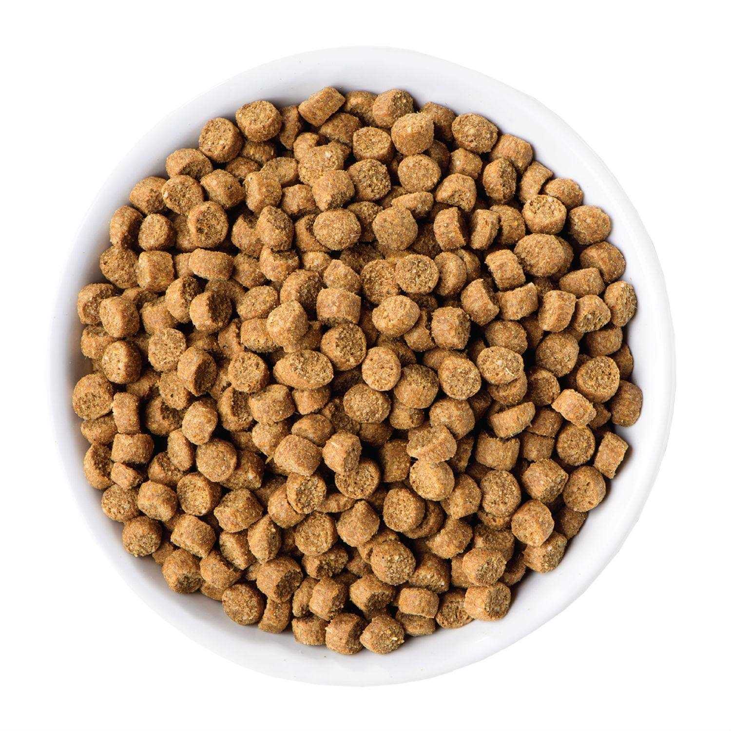 Wellness Complete Health Toy Breed Adult Dry Dog Food - Nail Gallerys