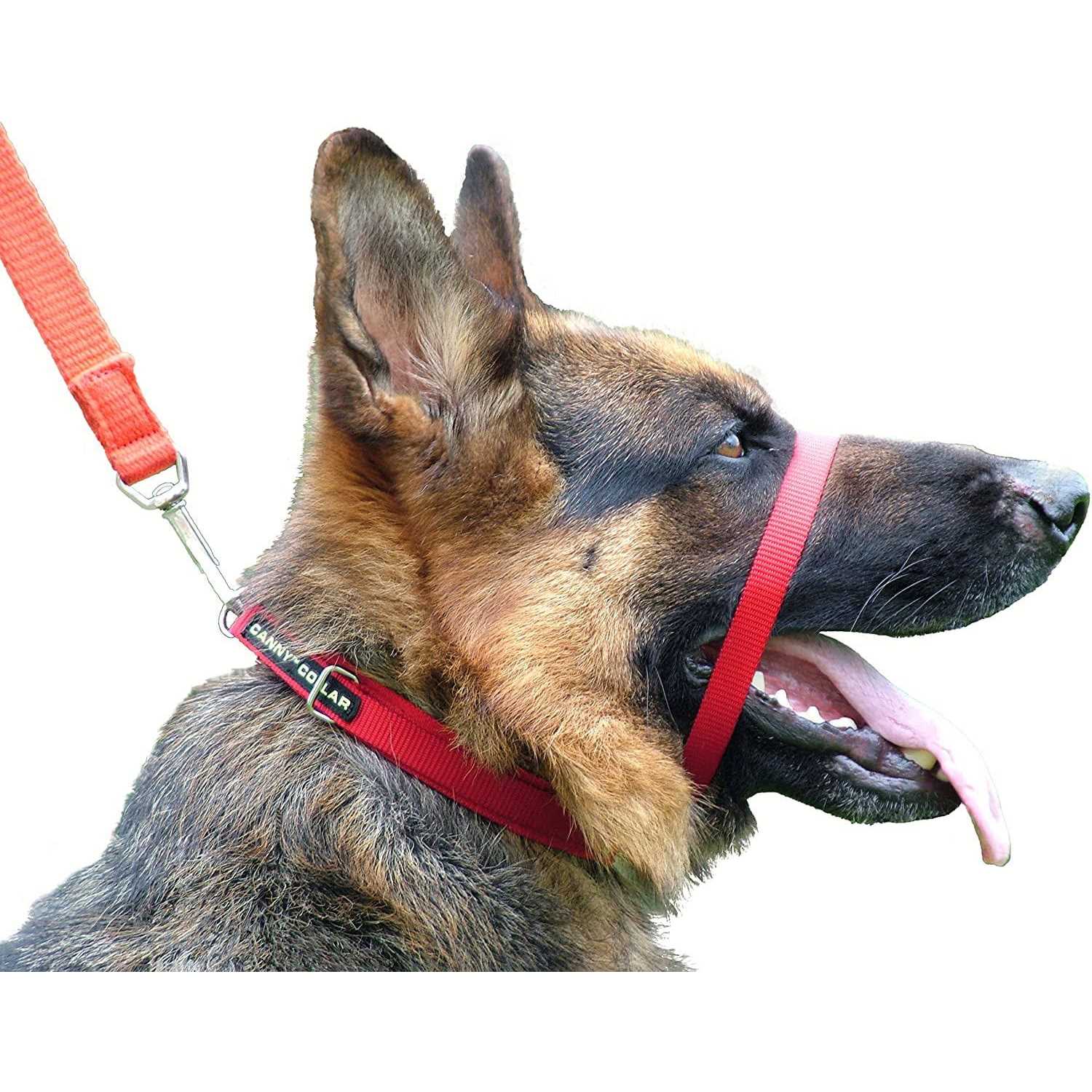 Canny Collar Size 3 - Nail Gallerys