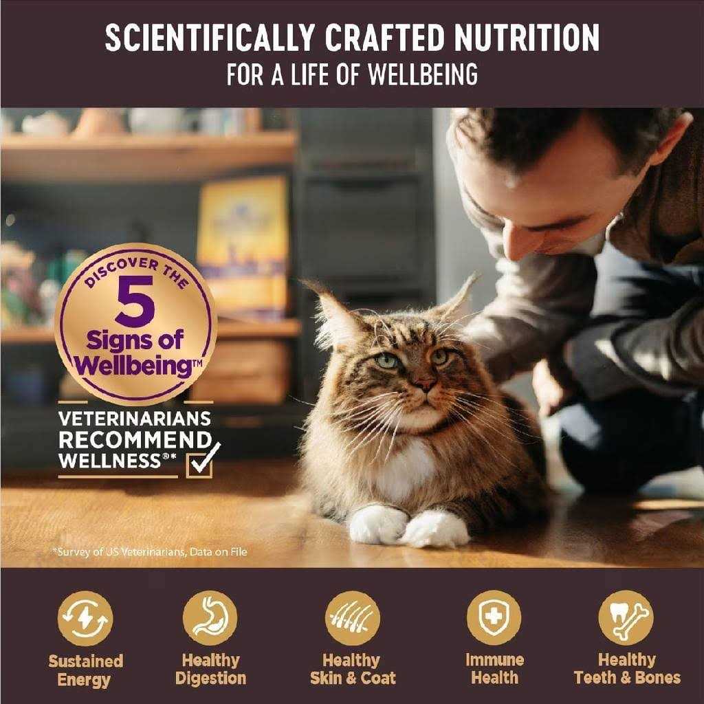 Wellness Core Tiny Tasters Flaked Wet Cat Food - Nail Gallerys