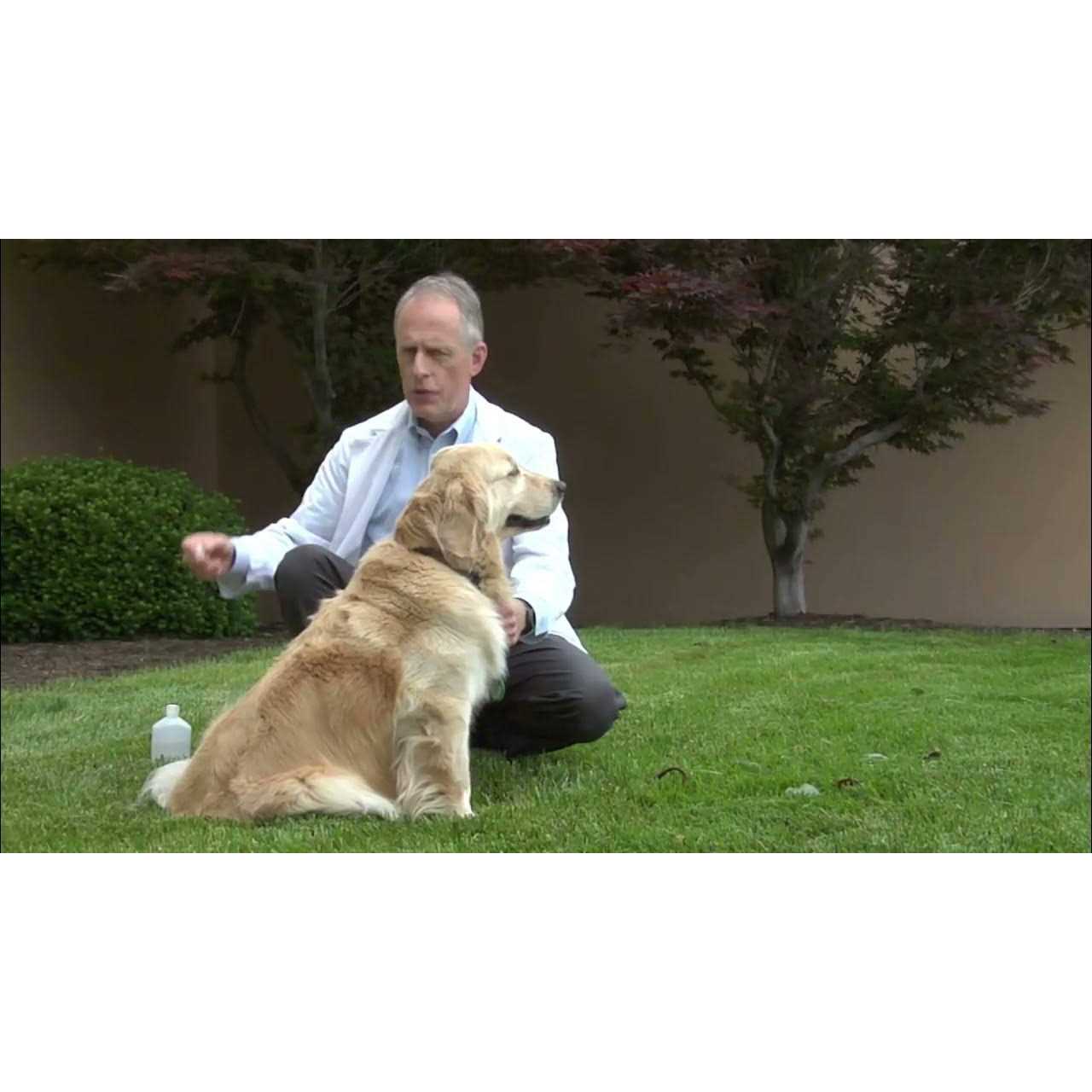 Spectra 5 Canine Vaccine - Nail Gallerys