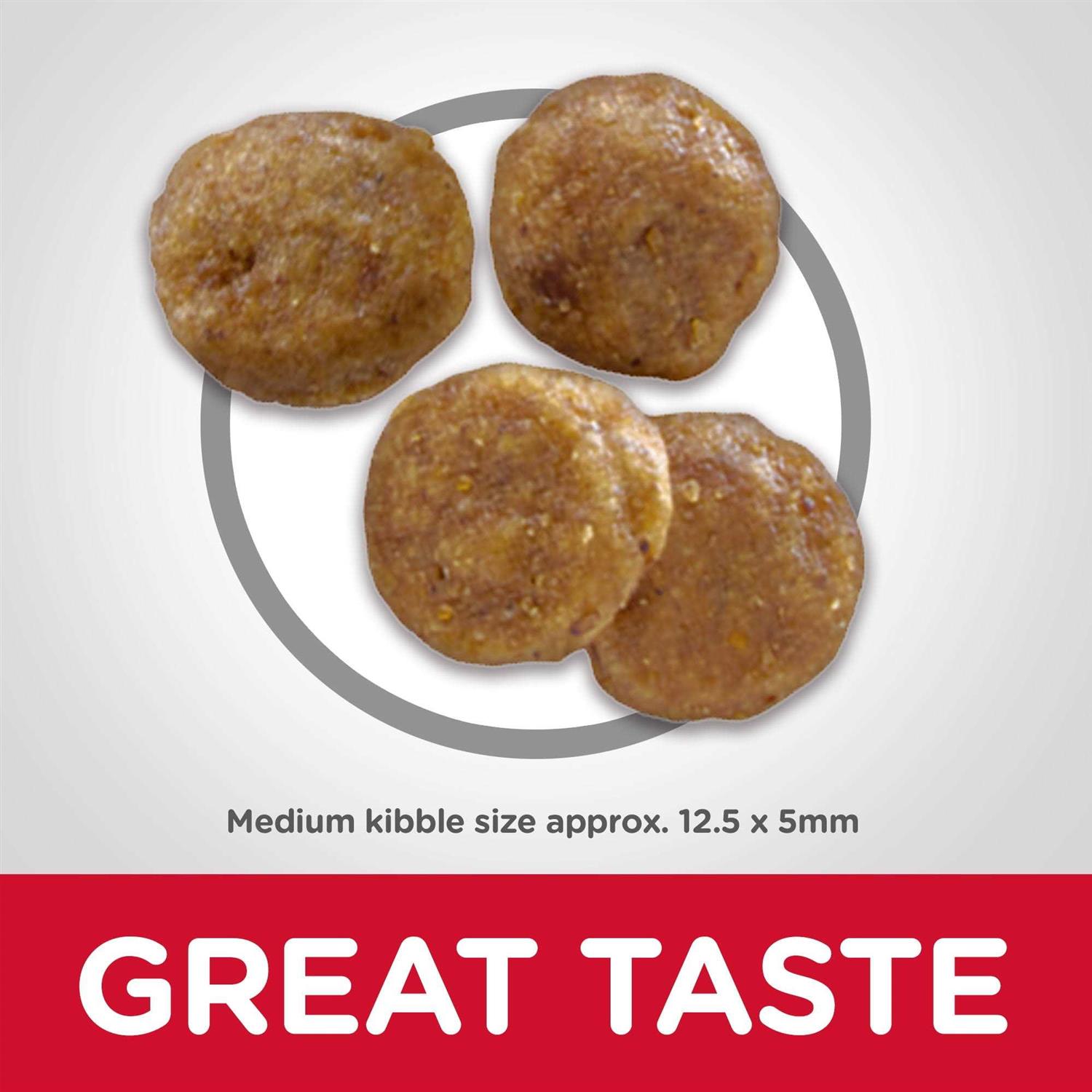 Hill’s Science Diet Sensitive Stomach Skin Grain Free Chicken Potato Recipe Adult Dry Dog Food - Nail Gallerys