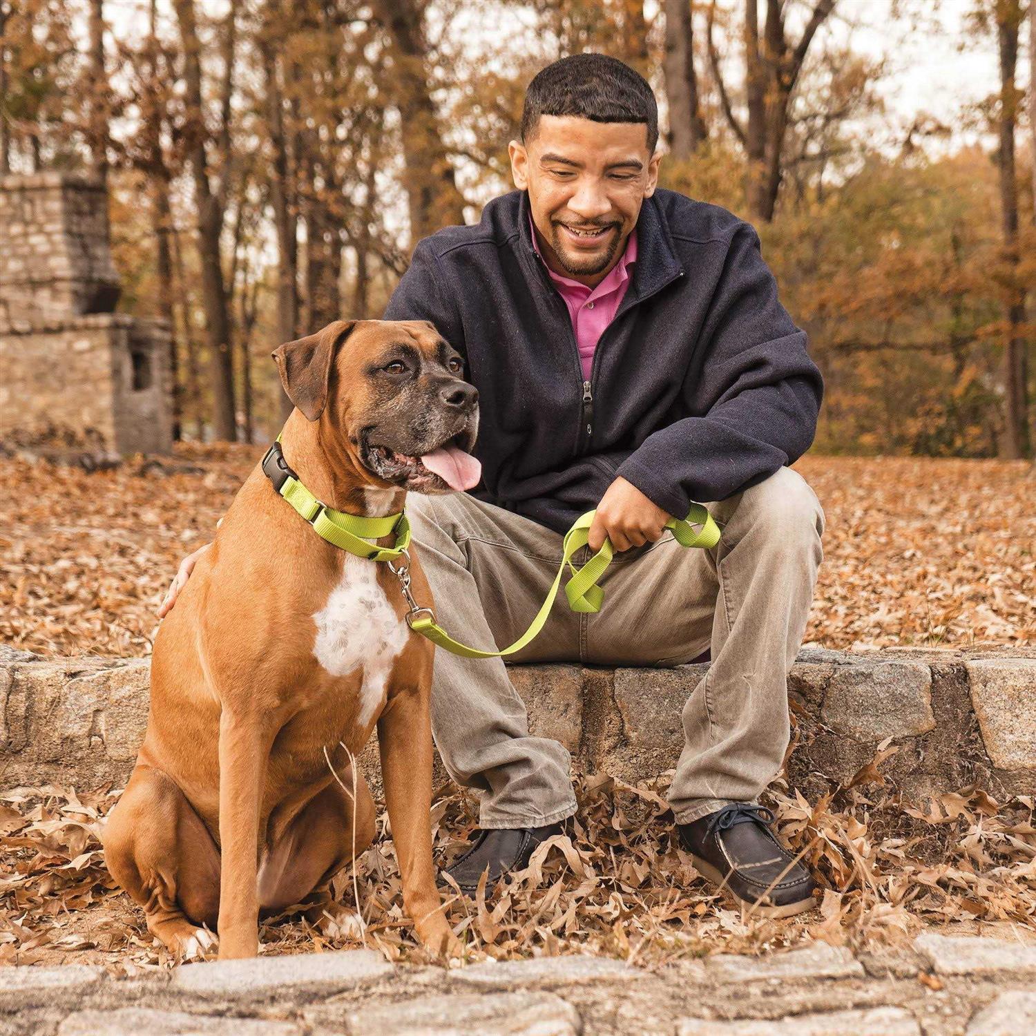 PetSafe Martingale Collar Quick Snap - Nail Gallerys