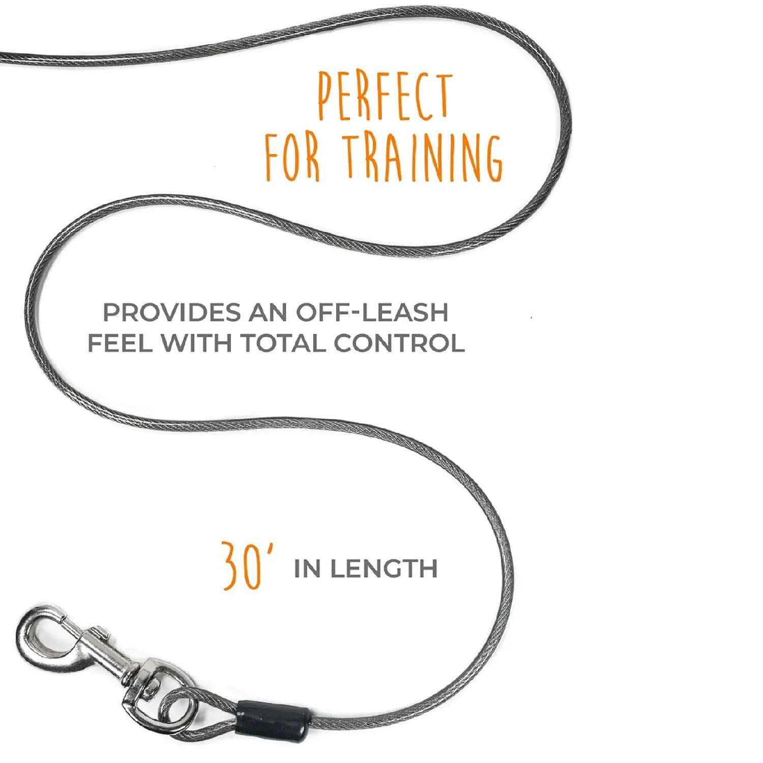 Mighty Paw Dog Tie Out Cable - Nail Gallerys