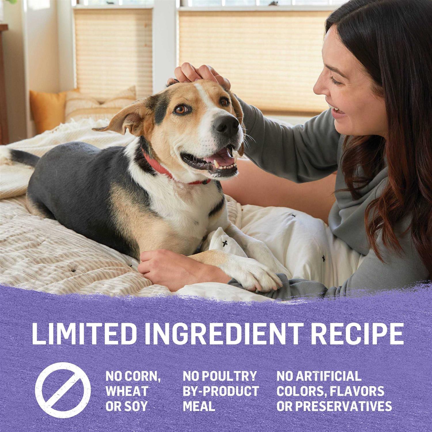 Purina Beyond Grain Free Ground Entrée Turkey & Sweet Potato Recipe Wet Dog Food - Nail Gallerys