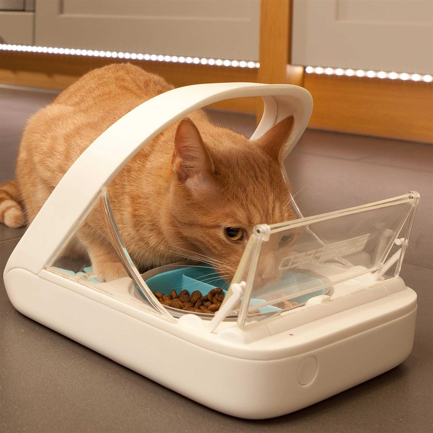 Surefeed Microchip Pet Feeder - Nail Gallerys
