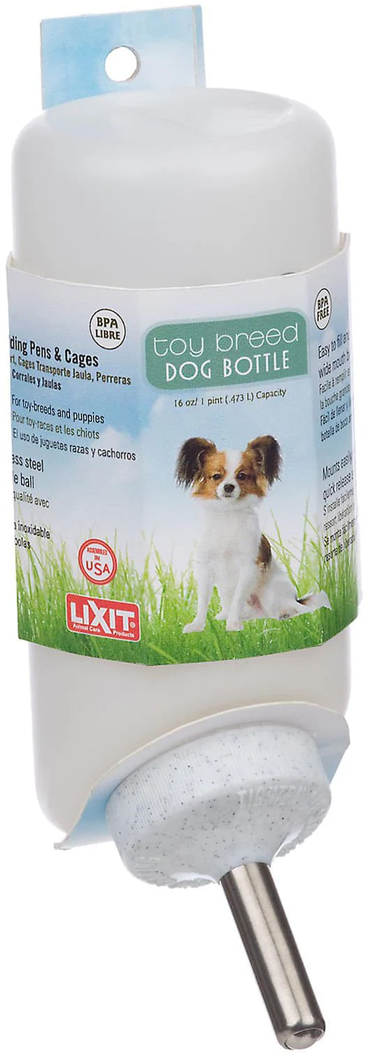 Dog Waterer - Nail Gallerys
