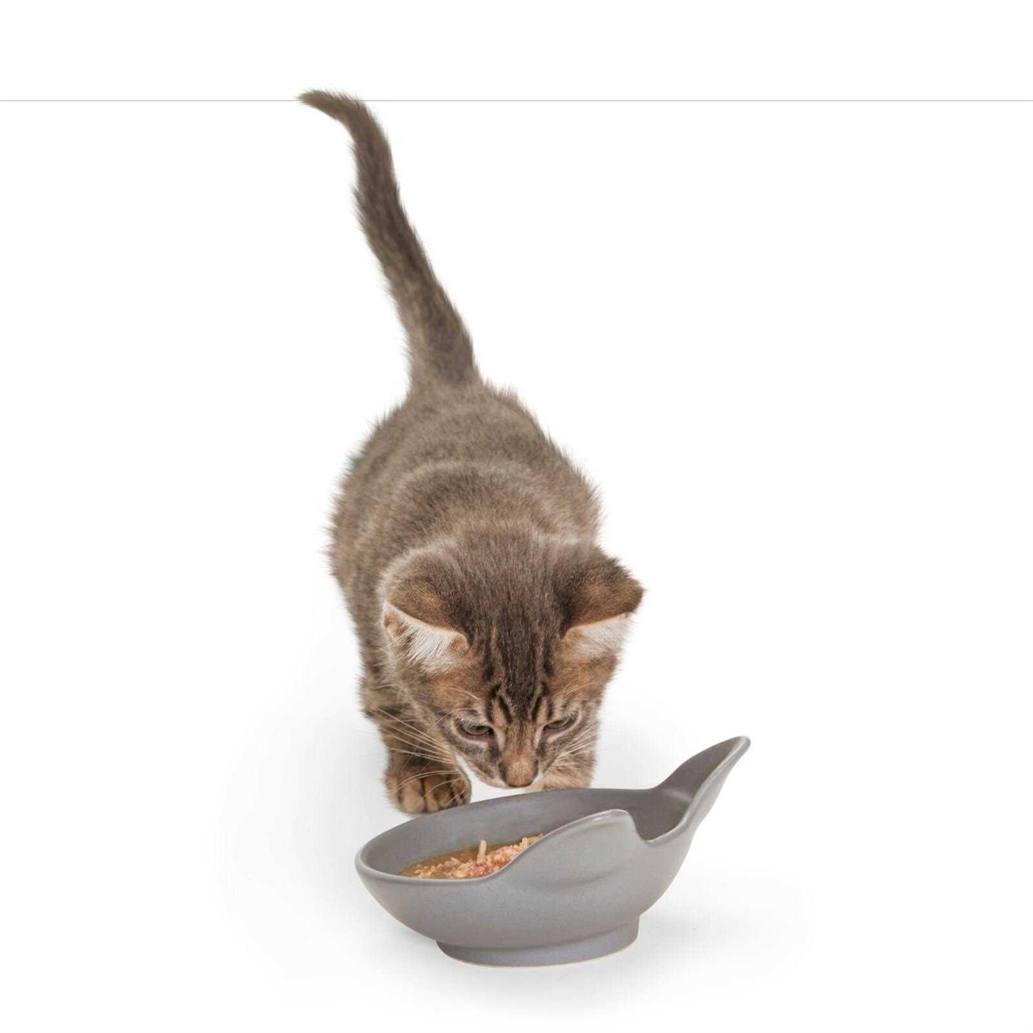EveryYay Dining In Cat Head Ceramic Cat Bowl - Nail Gallerys