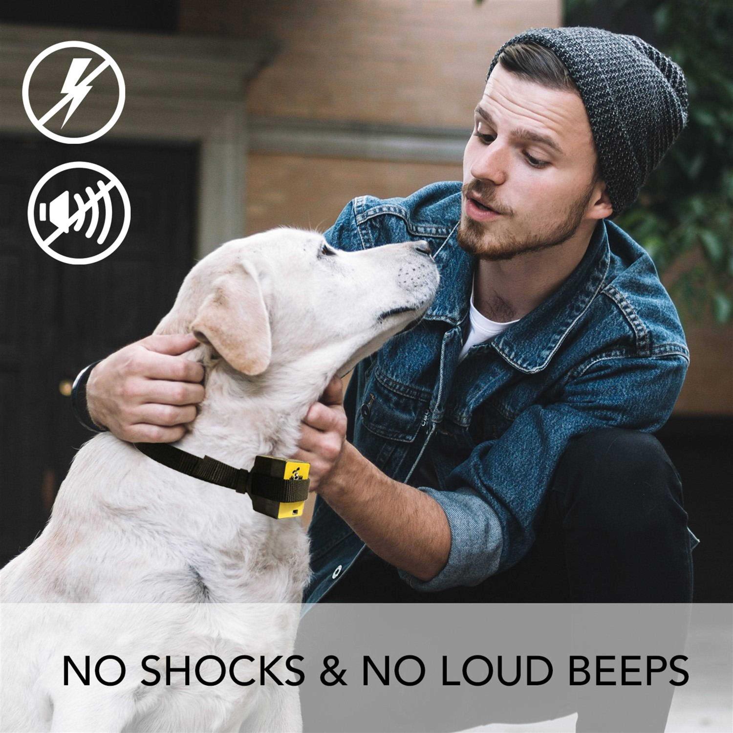 Downtown Pet Supply Citronella Bark Collar - Nail Gallerys