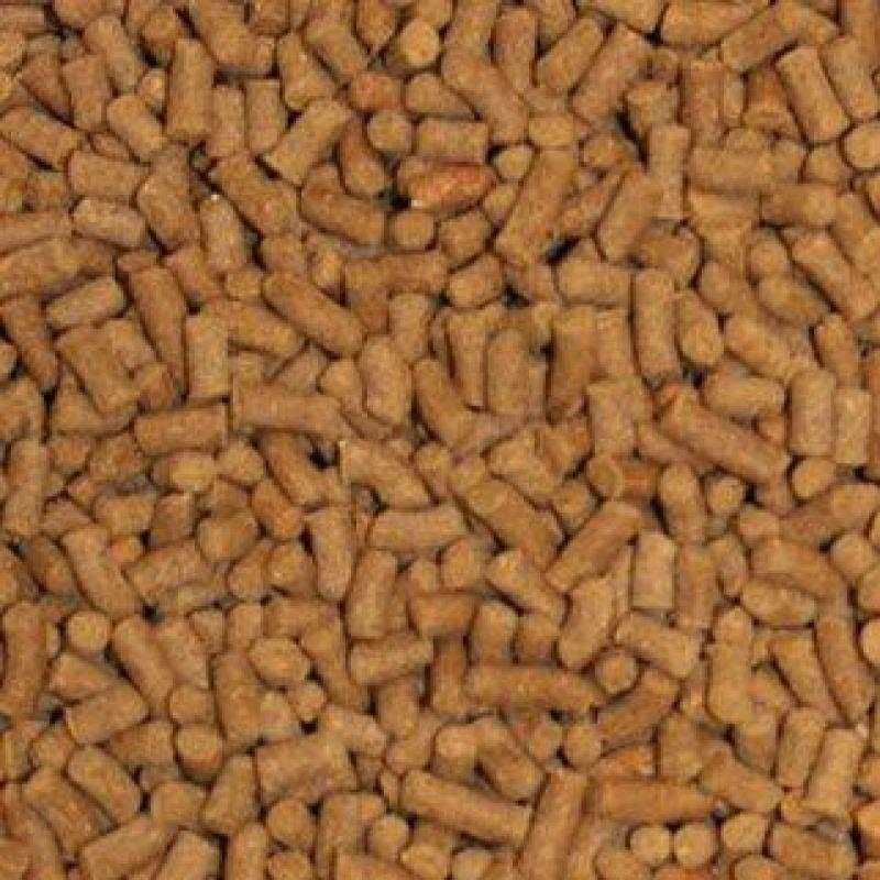 Omega One Shrimp Pellets Fish Food - Nail Gallerys