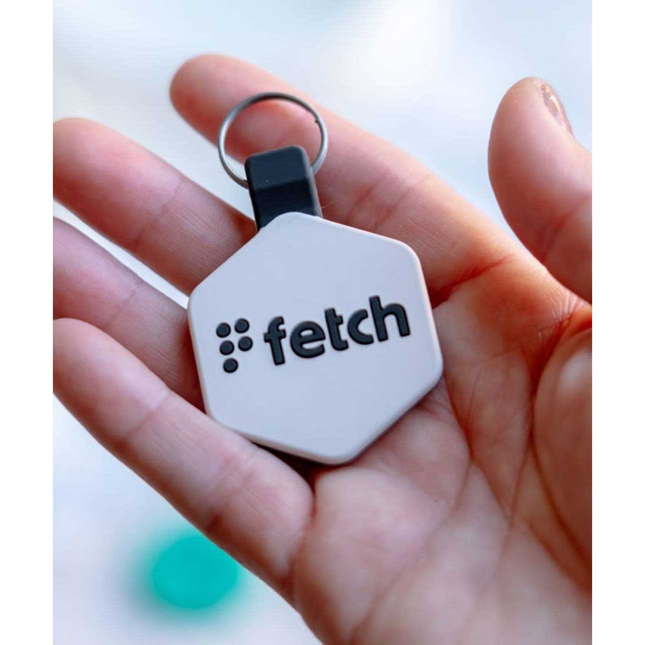 Lifekey Fetch Digital Pet ID Tag - Nail Gallerys
