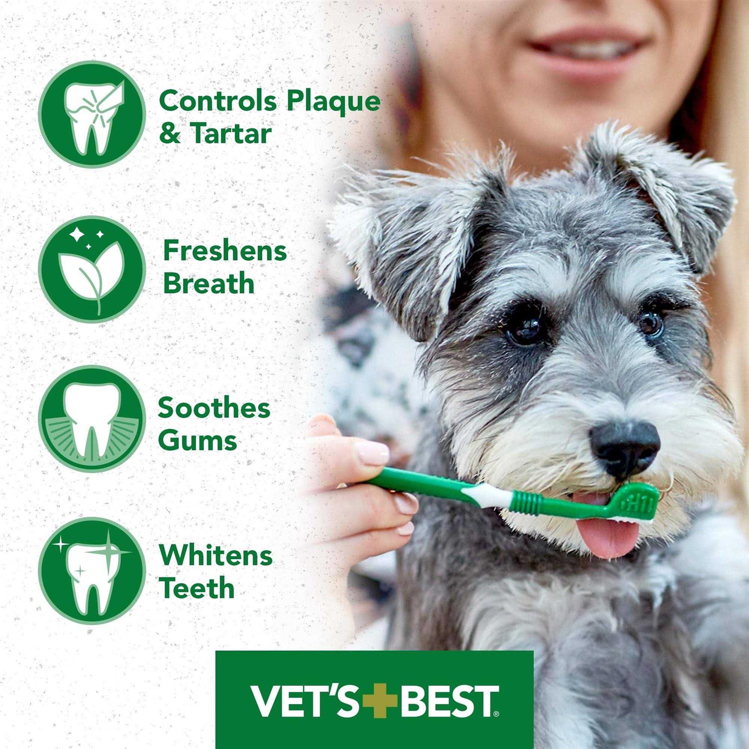 Vet’s Best Dental Gel Toothpaste - Nail Gallerys