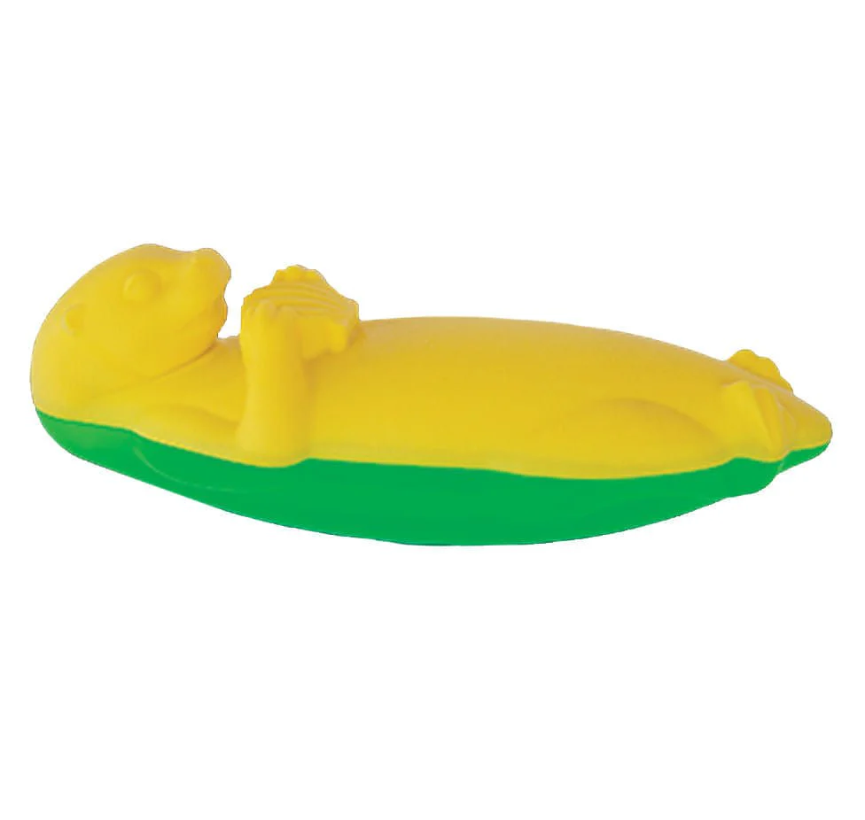 AquaFOAM Floating Dog Toys - Nail Gallerys
