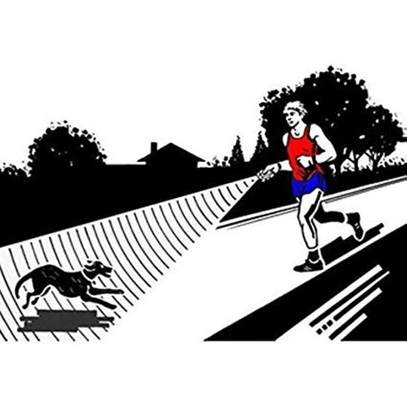 QZC Super Ultrasonic Dog Chaser,Training Dog Banish Dog Machine,Stop Animals Attacks Aggression - Nail Gallerys