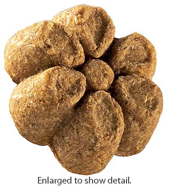 Fruitables Crunchy Treats, 7 oz - Nail Gallerys