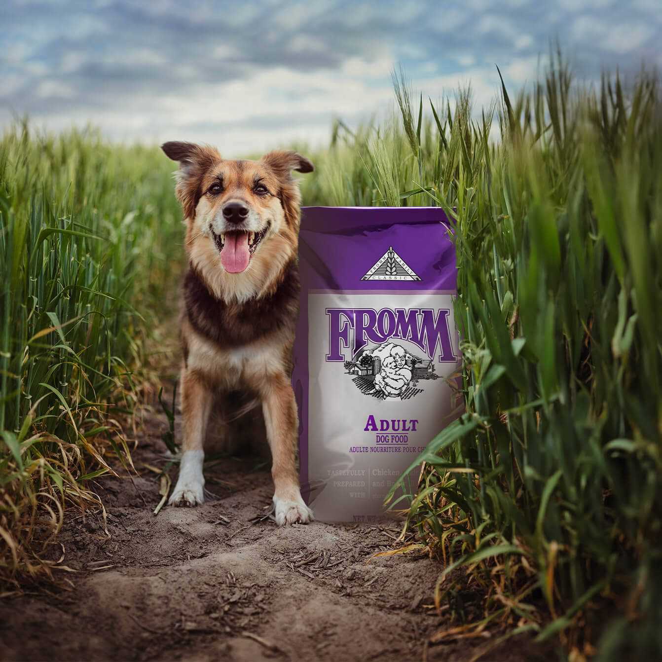 Fromm Classic Adult Dog Food - Nail Gallerys