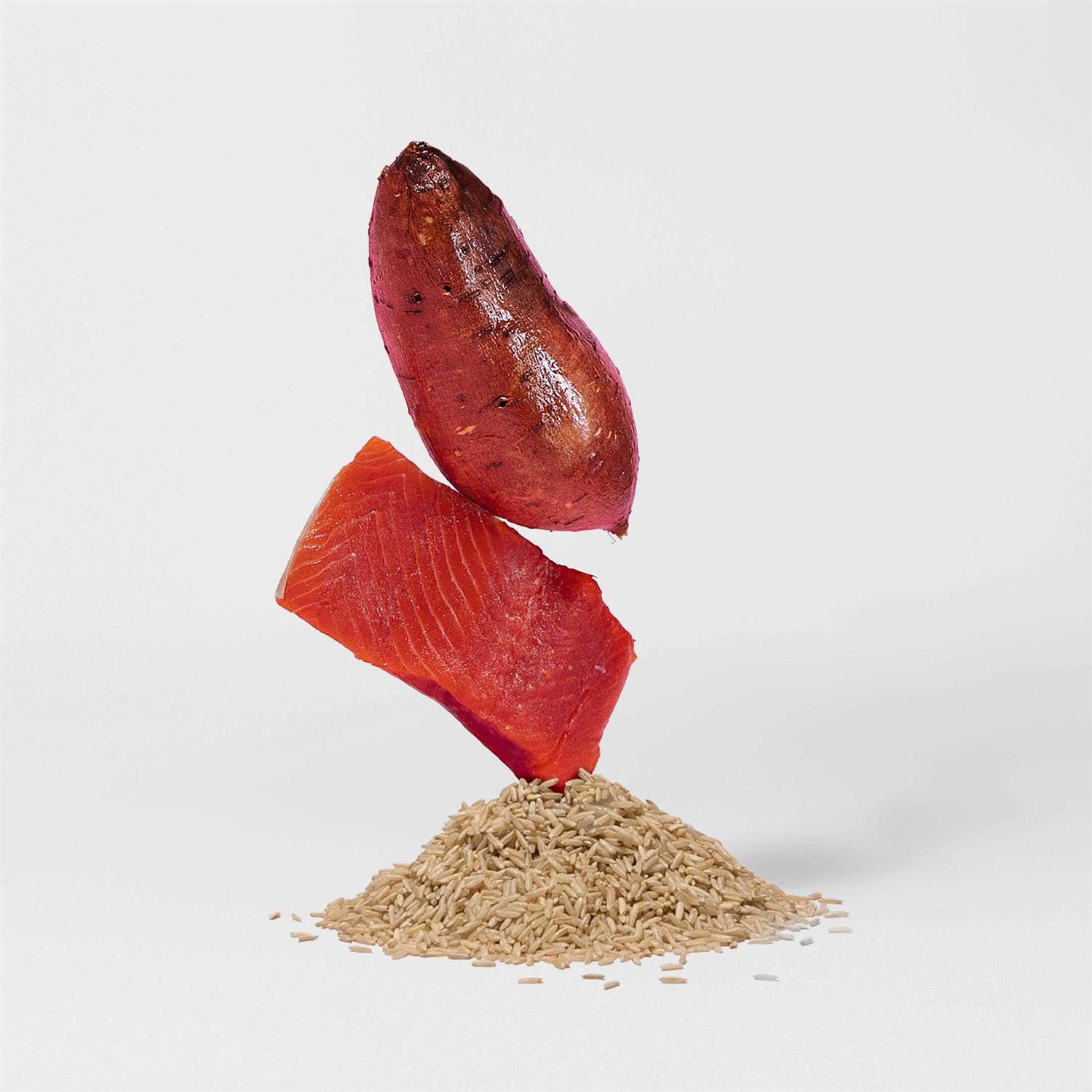 Jinx Salmon Brown Rice & Sweet Potato Dry Dog Food - Nail Gallerys