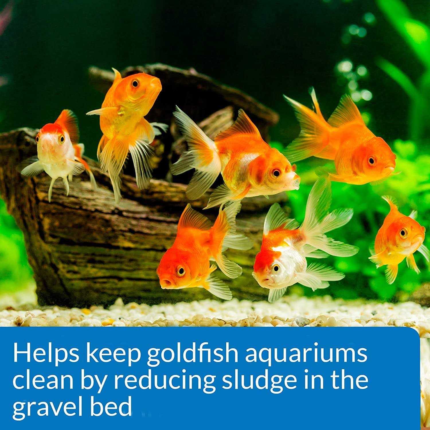 API Goldfish Aquarium Cleaner - Nail Gallerys