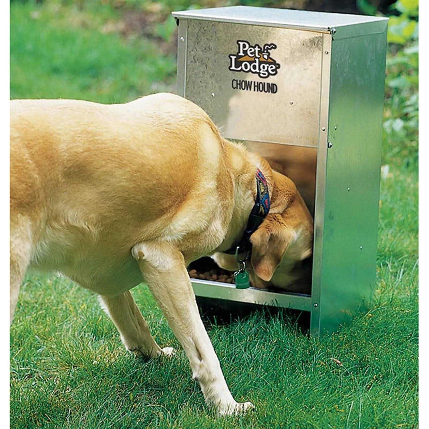 Pet Lodge CH12 Chow Hound 12 Pound Dog Feeder - Nail Gallerys