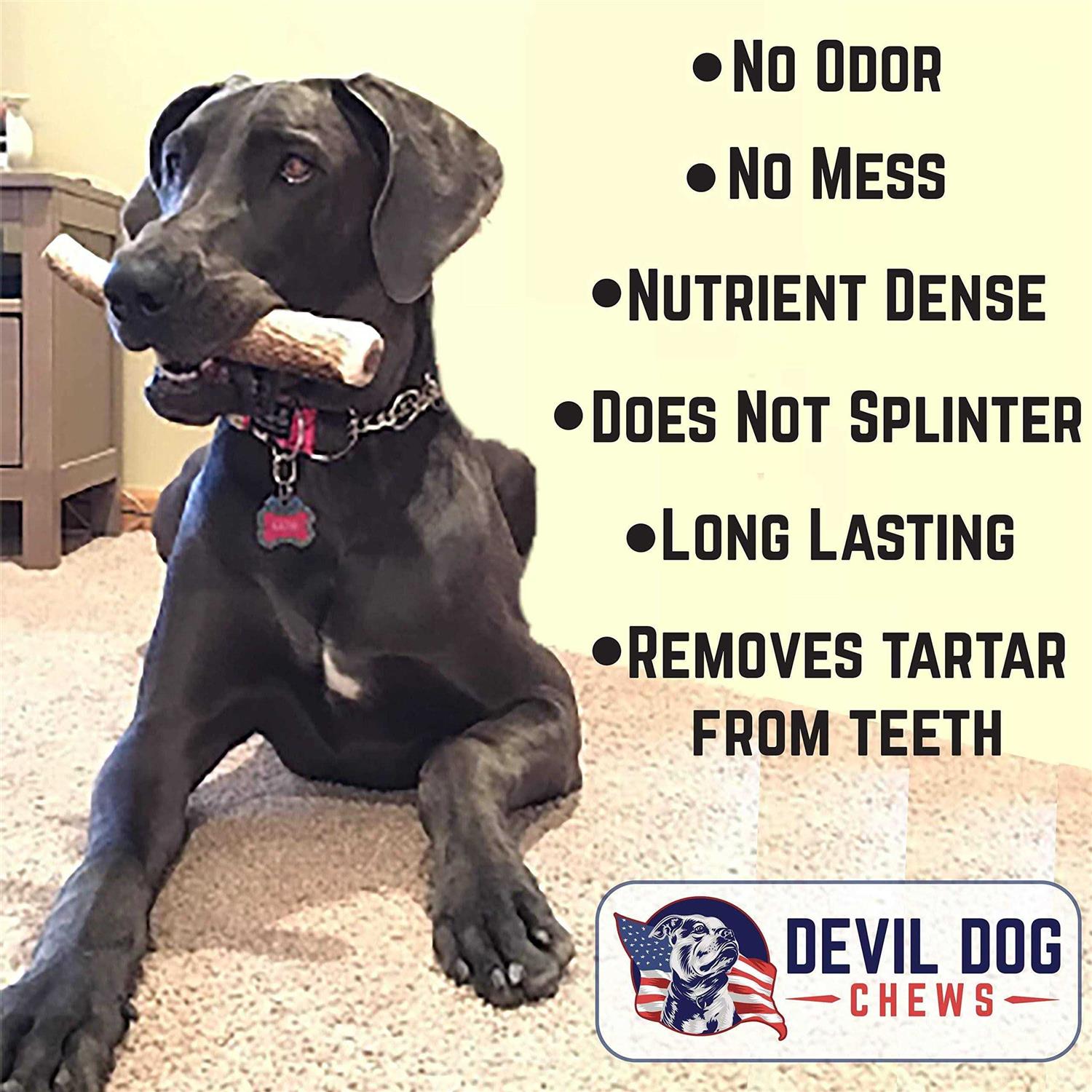 Devil Dog Pet Co Antler Dog Chew Premium Elk Antlers for Dogs Long Lasting Dog Bones for Aggressive Chewers - Nail Gallerys