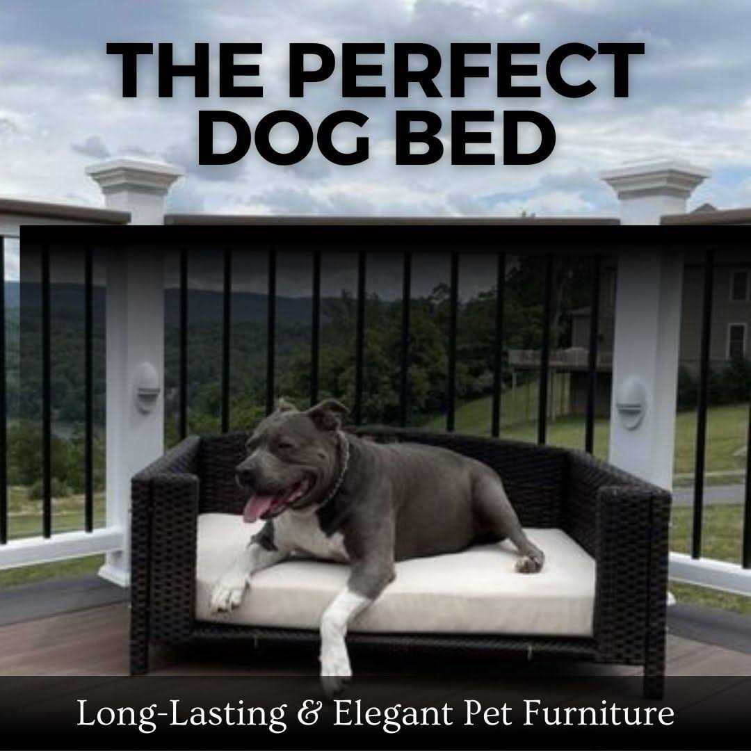 Iconic Pet Rattan Rectangular Pet Sofa - Nail Gallerys