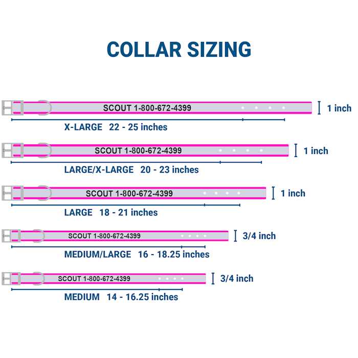 GoTags Adjustable Nameplate Personalized Dog Collar - Nail Gallerys