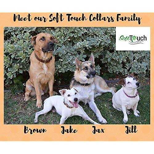 Soft Touch Collars Leather Dog Collar Padded - Nail Gallerys