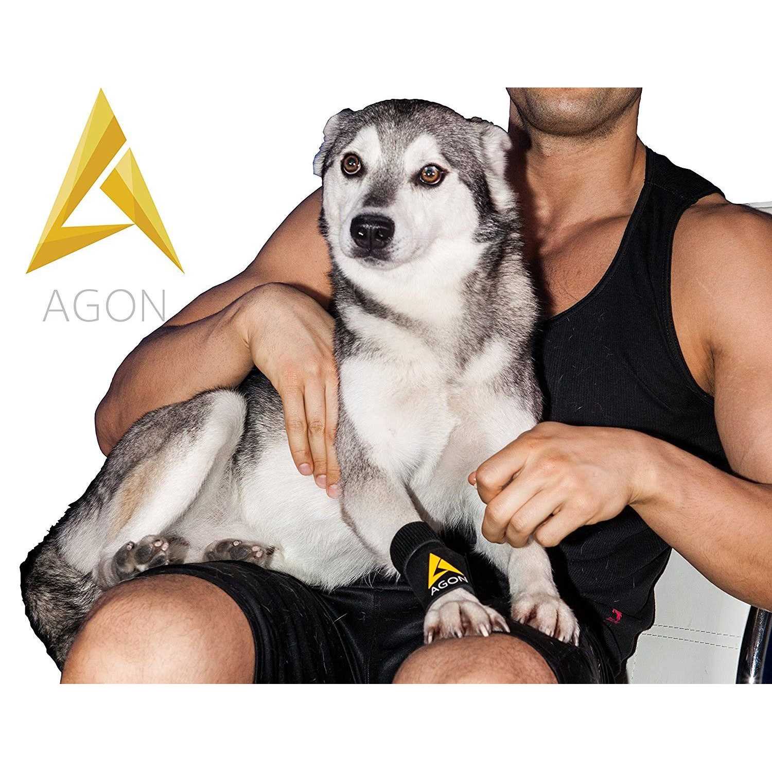 Pair Agon Dog Canine Front Leg Brace Paw Compression Wraps with Protects Wounds - Nail Gallerys